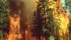 Image for display with article titled California Wildfire Season 2022: What to Expect, and What Can Be Done About It