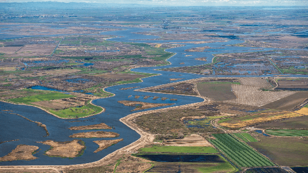An aerial view of the Middle River in the Sacramento-San Joaquin River Delta.