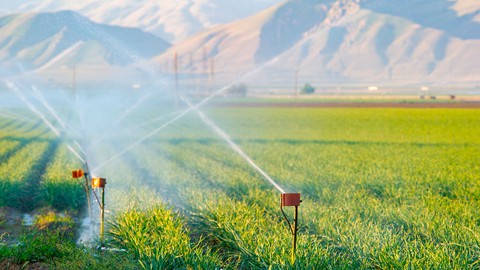 Image caption: DWR’s report on groundwater sustainability plans was illustrated with this photograph of a wheat field irrigated by groundwater in the southern San Joaquin Valley.