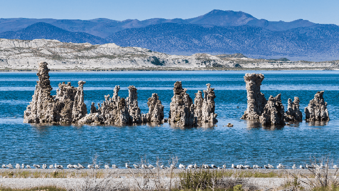 Image caption: Withholding a mere 1% of LA's water would protect Mono Lake and millions of birds.