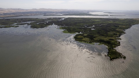 Image caption: Has the state allowed substandard water quality in the Sacramento-San Joaquin Delta region?