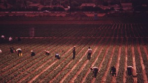 A recent farmworker death highlights the need for additional heat safety measures.