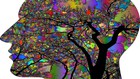 Image for display with article titled Could Some Psychedelic Drugs Be Decriminalized in California? Here's How it May Happen