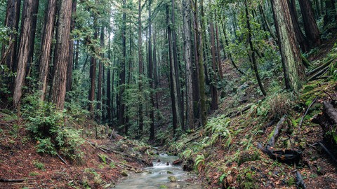 Image caption: Peninsula Open Space Trust worked with landowners to preserve Estrada Ranch, one of the last large properties under family ownership in the Santa Cruz Mountains.