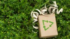 Image for display with article titled Sustainable Shopping for the Holiday Season