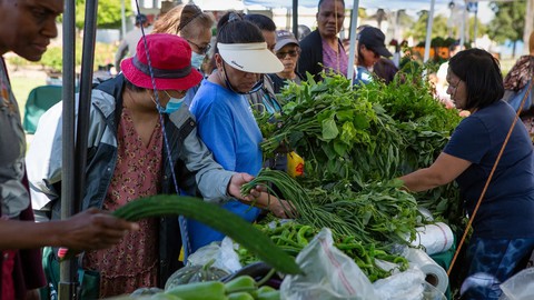 Image caption: A customer picks produce at the Fairfield Farmers' Market on June 15, 2023.