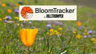 Image for display with article titled BloomTracker: Wildflower Finder & Protector from Hilltromper