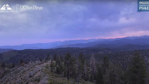 Image caption: Screenshot of video taken from a mountaintop webcam shows dawn breaking purplish in Sequoia National Park on July 12, 2024.