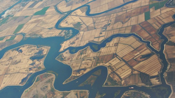 The Sacramento San Joaquin Delta, which covers 1,153 square miles, is one of the largest estuaries in western North America. It supplies California with half of its fresh water, and is facing ecological collapse.