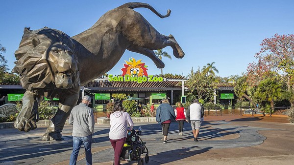 A statue of Rex the Lion greets visitors at the entrance to the San Diego Zoo.