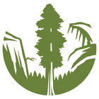 Sierra Club—Maidu Group logo