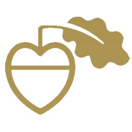 El Dorado Hills Area Foundation logo