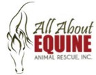 All About Equine logo