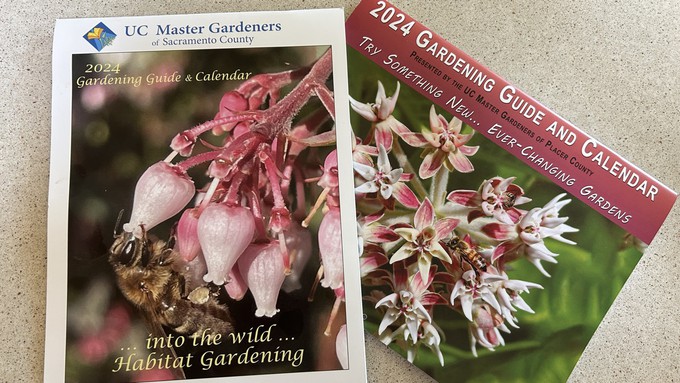 Great minds think alike! The two gardening guides both have 2024 covers with bees and native flowering plants. But the content is different -- and tailored for each growing area.