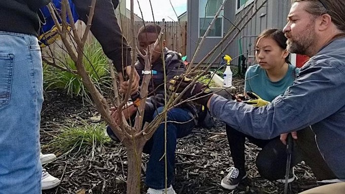 The skills and tools of fruit tree pruning are just part of two workshops offered this month by Alchemist Community Development Corporation.