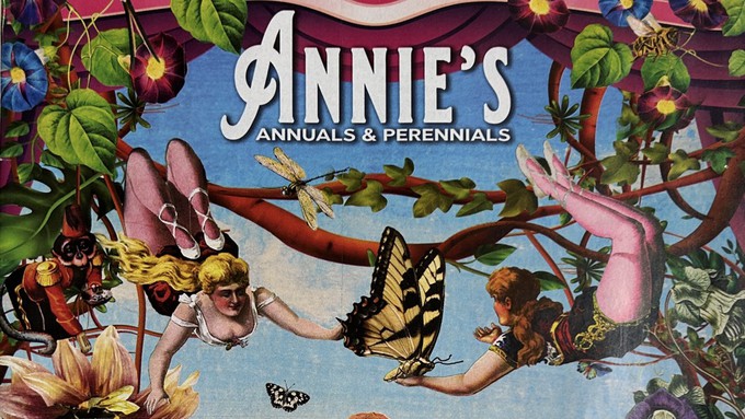 The catalogs for Annie's Annuals are known for their fanciful designs. This is part of the Summer 2024 cover.