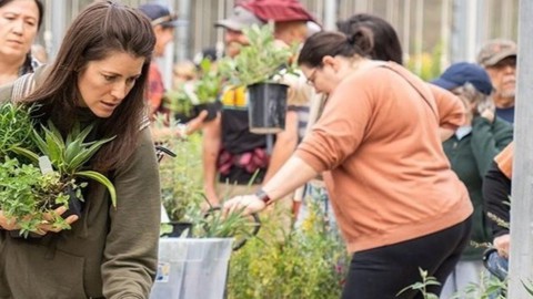 Image caption: UC Davis Arboretum plant sales always draw crowds. Join the Friends of the Arboretum for first crack at this fall's sales.