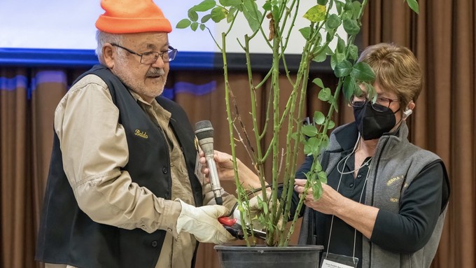Baldo Villegas, assisted by Charlotte Owendyk, demonstrates his 3-minute pruning method at the 2022 winter rose care workshop.