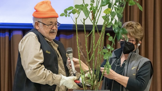 In a previous workshop, Baldo Villegas demonstrates his pruning technique while Charlotte Owendyk assists and holds the microphone.