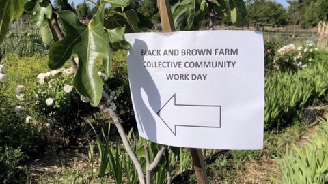 Image caption: The Black & Brown Farm Collective was among the 2024 recipients of the Saul Wiseman Grants, presented by the Sacramento Perennial Plant Club. Deadline for the 2025 grants is Jan. 15.