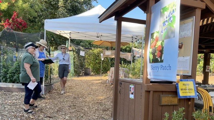 Master gardeners welcome visitors to the Horticulture Center's Berry Patch during Harvest Day 2023. This year's event will be held  Saturday, Aug. 3, from 8 a.m. to 2 p.m. in Fair Oaks.