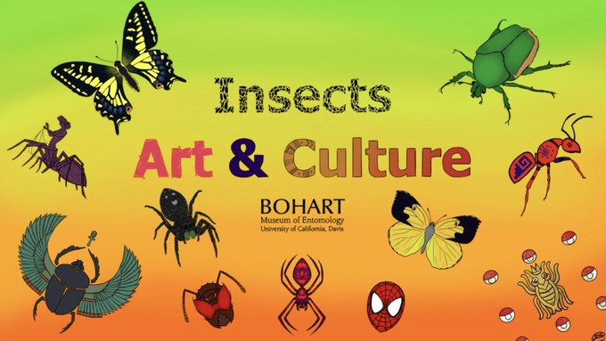 The Bohart Museum of Entomology celebrates insects in art and culture during its Saturday event.