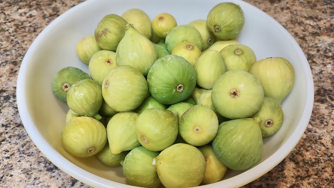 Beautiful ripe Kadota figs, combined with almonds and lemon, will become delicious jam.