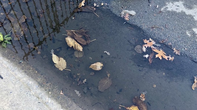 The gutters don’t unclog themselves! Avoid creating street ponds by making sure gutters  and storm drains are clear before the rain starts. Check downspouts around the house, too.