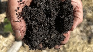 Sacramento County organic waste program yields black gold