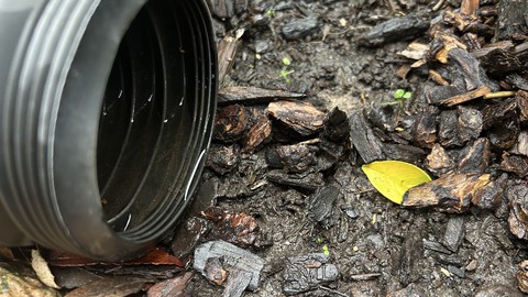 Image caption: Diverters attached to downspouts can redirect water to spots where it can soak in safely, away from foundations.