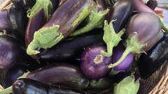 Loomis celebrates all things eggplant this Saturday, Oct. 7. The festival and parking are free.