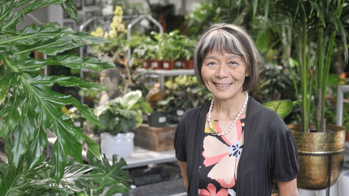 For half a century, Kifumi Keppler has shared her passion about indoor gardening at Exotic Plants.