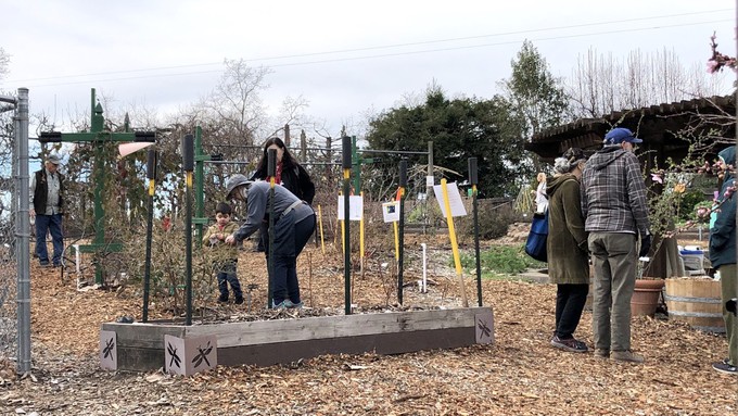 Visitors explore the Berry Garden at the Fair Oaks Horticulture Center during February's Open Garden Day.