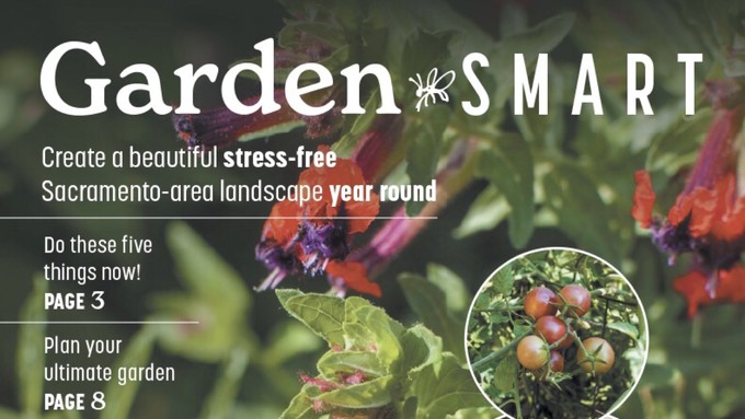 The Garden Smart magazine is still available online for Sacramento-area gardeners.