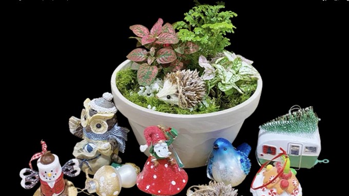 Are you a hedgehog fan? This little container garden might be your ideal. Or maybe you'd prefer a gnome, or a travel trailer -- or one of several other ornaments available during Green Acres' container garden workshop Dec. 16.