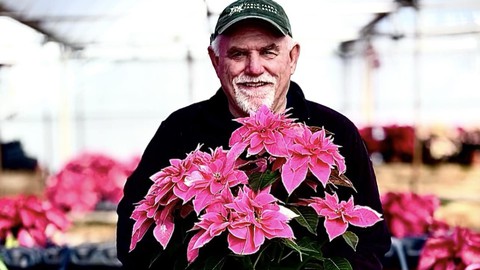 Image caption: Greg Gayton of Green Acres Nursery & Supply holds the I Love You Pink poinsettia, one of the newest (and popular) hybrid holiday plants.