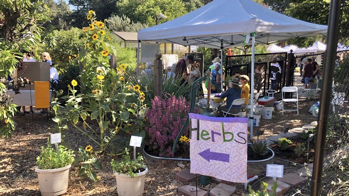 Last year's Harvest Day was busy in the Herb Garden and beyond. This year's event is Saturday, Aug. 5.