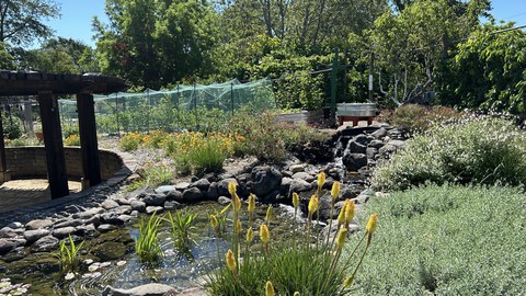 This view of the Fair Oaks Horticulture Center shows the pond, the berry garden and part of the orchard. Visit between 9 a.m. and noon Saturday.
