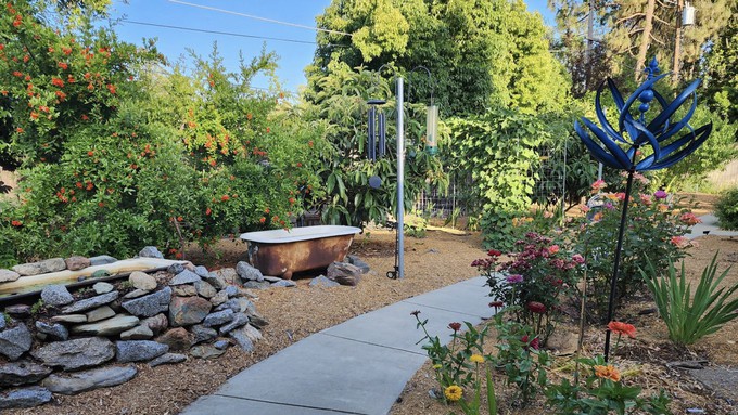 Janelle Auyeung, a master gardener who lives in Sacramento's Arden Park, created this water-wise garden over several years.