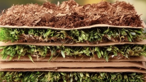 Image caption: Layered cardboard, green matter (such as garden clippings)  and brown matter (such as leaves or straw) makes "lawn lasagna." See "How to Make Lawn Lasagna" at the end of the post.
