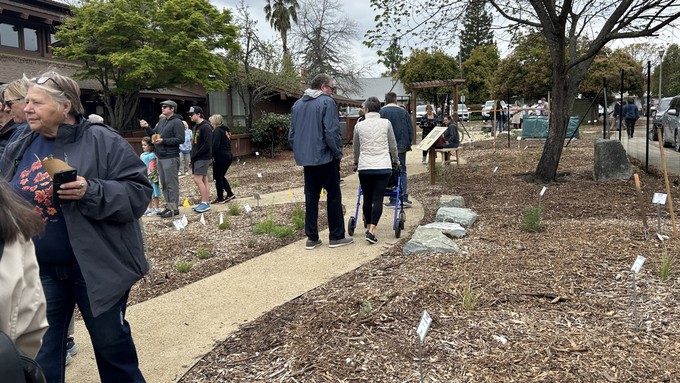 Here's the end result of the Placer master gardeners' lawn replacement project: their demonstration garden at the Loomis Library. This photo is from the grand opening in March; the garden has filled in since then.