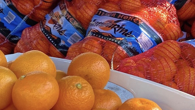 Placer-grown fresh mandarins are plentiful this year. Buy them in bags or gift baskets.