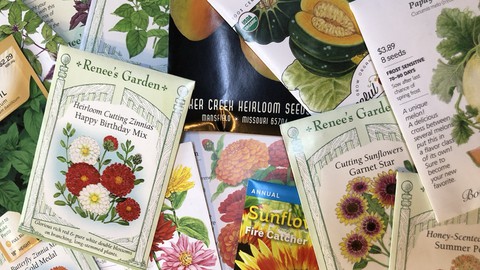 Image caption: Got seeds to share? Bring them to one of three area events this Saturday, which is National Seed Swap Day.