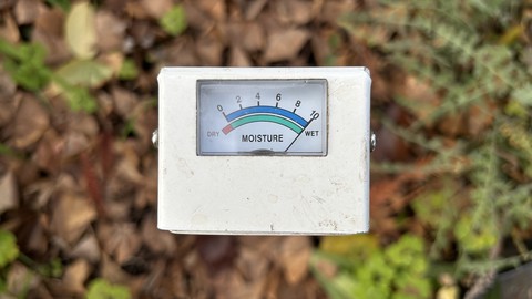 Image caption: A moisture meter is an essential tool for the Sacramento-area gardener. Makes a great gift, too!