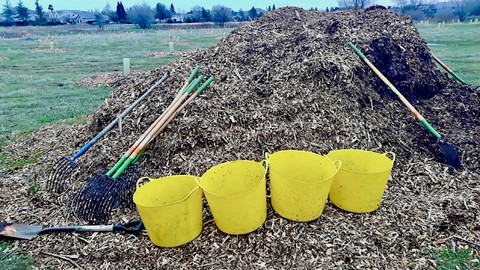 Image caption: "A newly planted tree’s best friend is mulch," says the Roseville Urban Forest Foundation. RUFF will hold a tree-planting event on Saturday morning, Dec. 7, in  West Roseville.