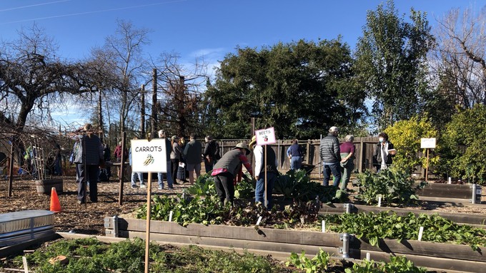 The first Open Garden of 2024 at the Fair Oaks Horticulture Center will be Jan. 20. Visitors in January 2022, above, check out the vegetable garden.