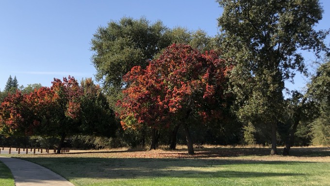 It's fall, it's October, and trees are just starting to show their seasonal colors. It's also the start of a new Water Year.