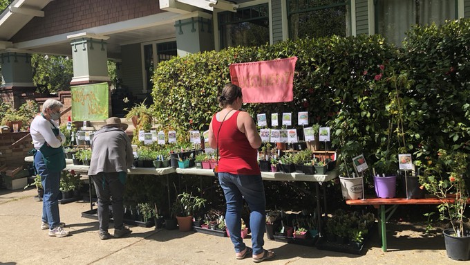 The Sacramento Perennial Plant Club's 2023 Plant Sale, above, offered an array of succulents, native plants, perennials, flowers, and many vegetables. This year's sale will be April 12-13.