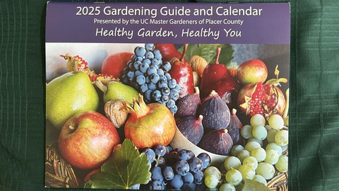 Image caption: The Placer County master gardeners' 2025 calendar focuses on healthy garden practices, for the gardener as well as the garden.