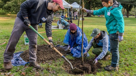 Image caption: Volunteers will plant trees on the UC Davis campus on three dates this winter.